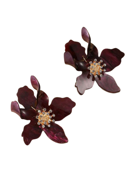 VANDA - CURRANT