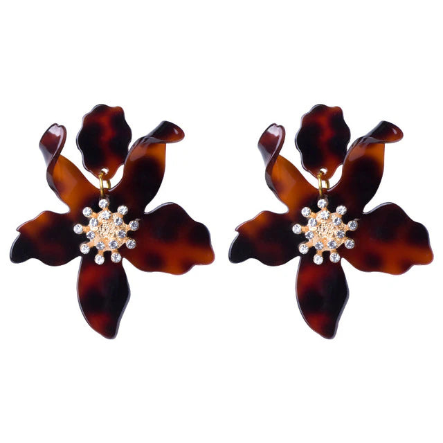 VANDA  - TORTOISE